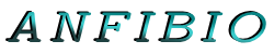 Anfibio